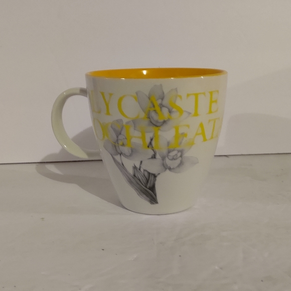 Top Choice Yellow Daffodil, "Lycaste Cocheata", 4" Mug - Picture 3 of 7